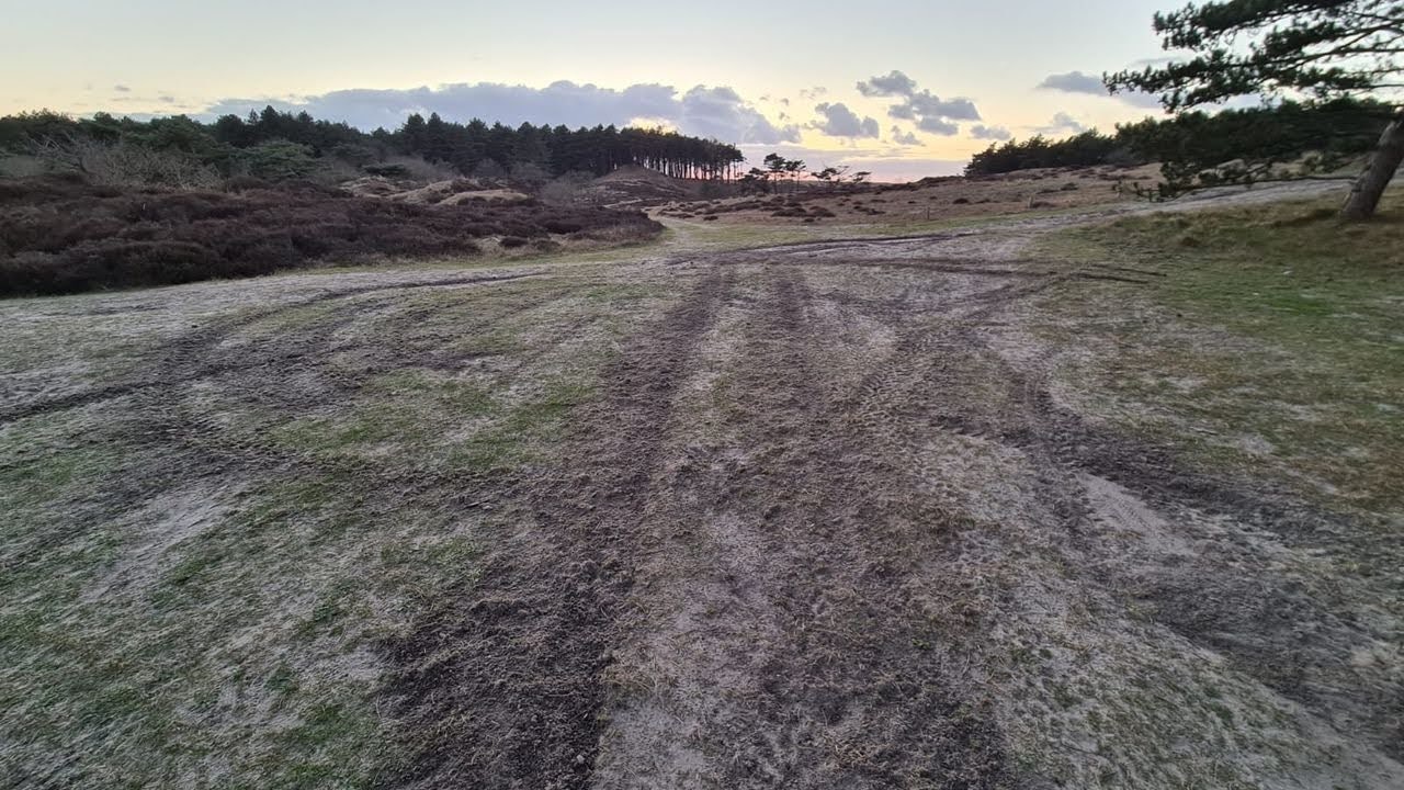 Alle paden weer toegankelijk in Het Noordhollands Duinreservaat