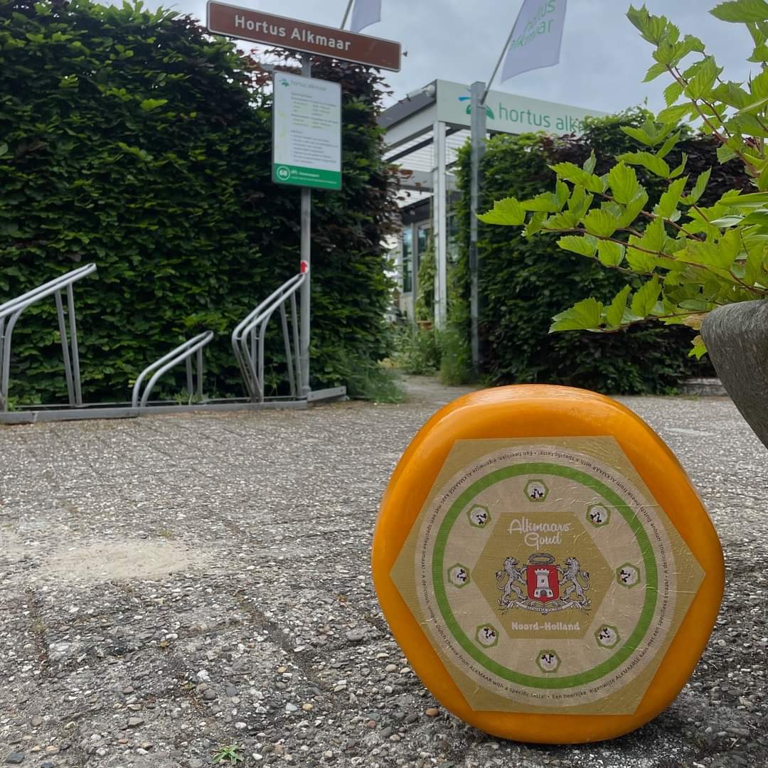 Kom proeven: AlkmaarsGoud en Alkmaars Natje (bier) bij Hortus Alkmaar