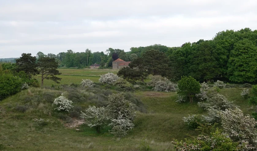 Wandeling De Westert en De Bleek