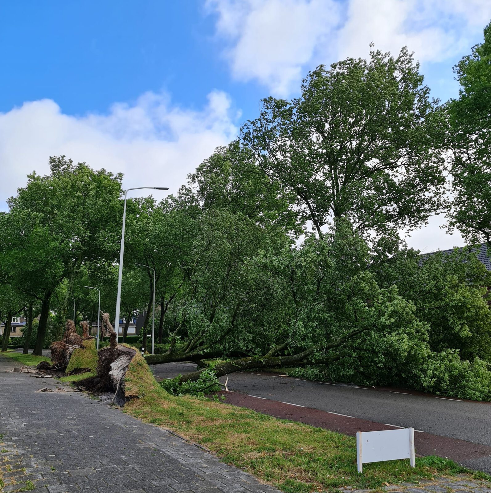 Opruimwerkzaamheden in Alkmaar na storm tot in de volgende week; parken zijn tijdelijk gesloten