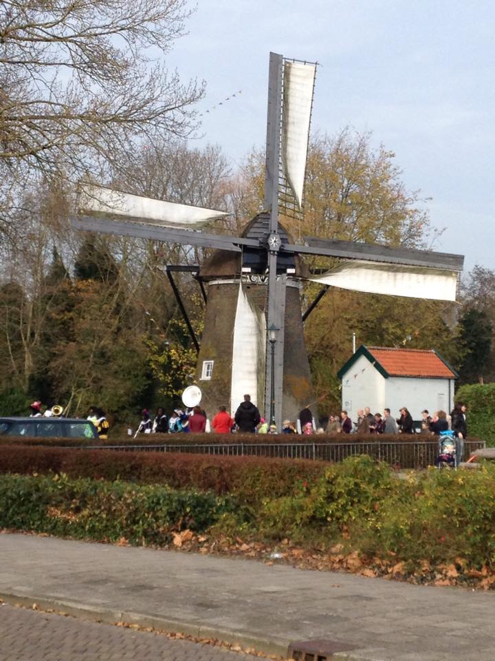 Wijkvereniging Bergerhof viert 50-jarig jubileum