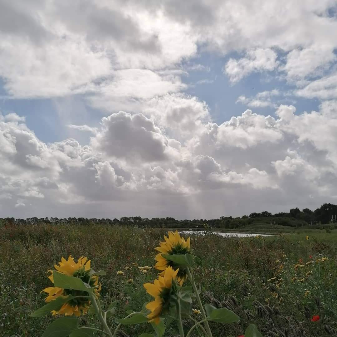 Open dag natuurbegraafplaats 17 september: Laat je inspireren op Geestmerloo