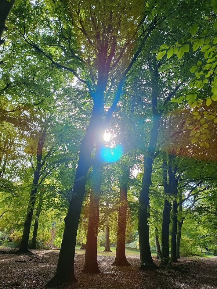 Ontdek de magie van de herfst met IVN Natuureducatie