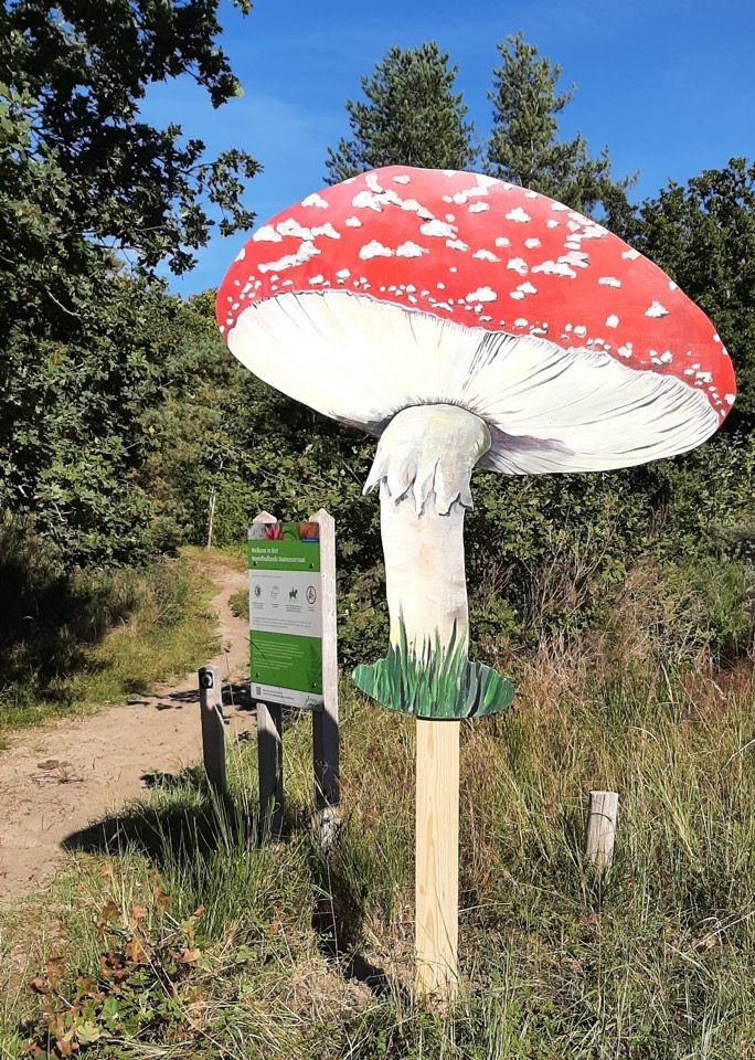 Zondag 15 oktober paddenstoelendag bij de Schaapskooi in Bergen