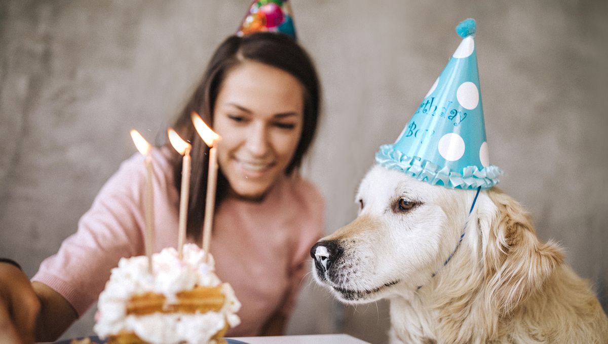 Het is dierendag! Waarom vieren we dierendag op 4 oktober?