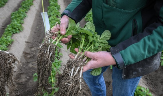 Supermarkten, cateraars, boeren en tuinders komen samen tijdens het Super-Boeren-Event