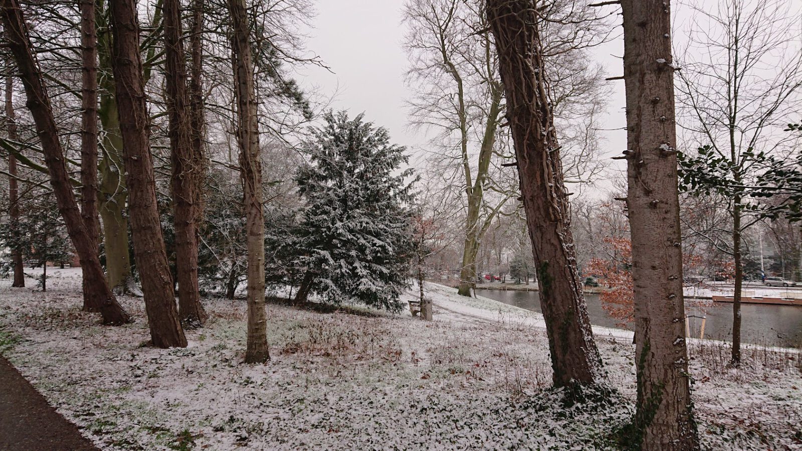 Volgende week grote kans op vorst, 'natte' sneeuw en waterkoud weer