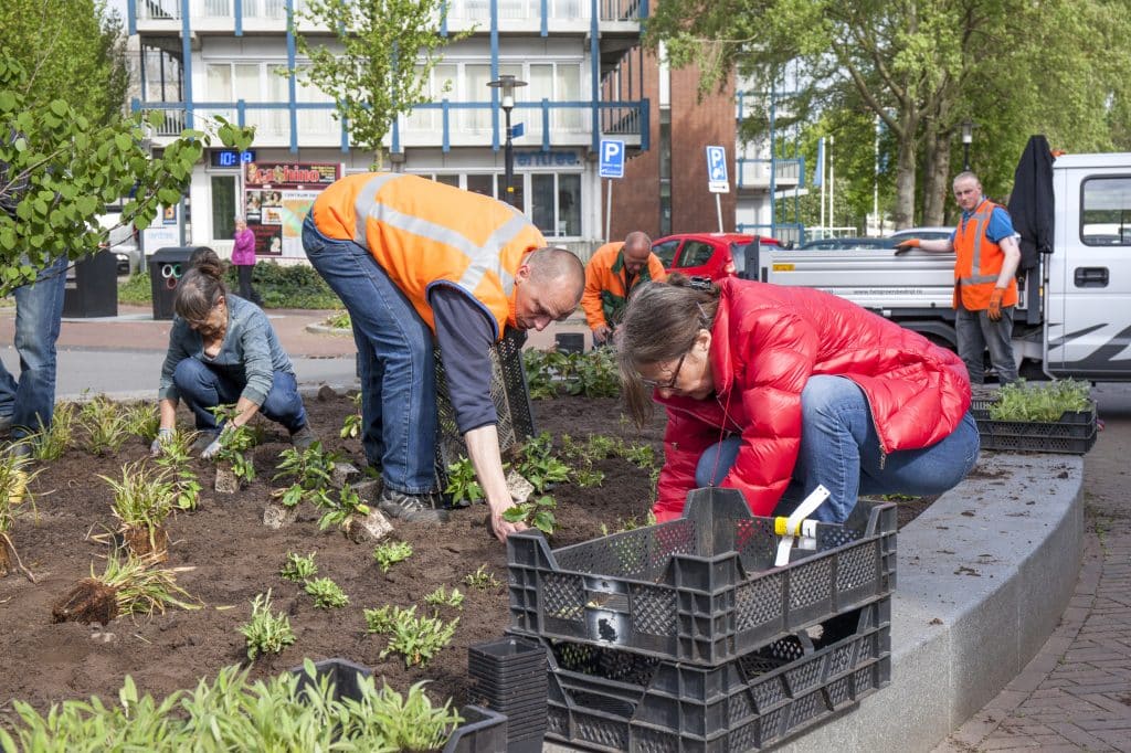 Alkmaar eindigt als vierde bij NK Tegelwippen 2023