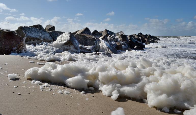 PFAS in zeeschuim langs Nederlandse kust