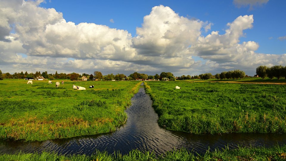 Provincie rond 4 natuurdoelanalyses af