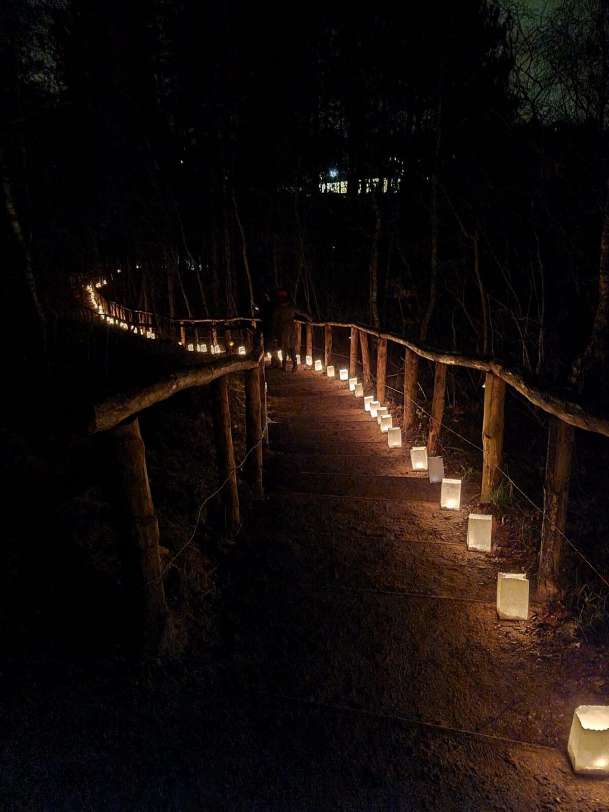 28 december: Lichtjeswandeling door de Schoorlse Duinen