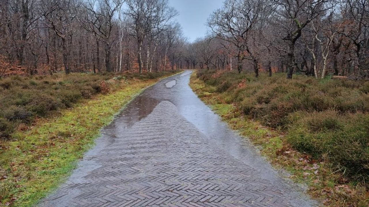 Water op de paden van het duingebied