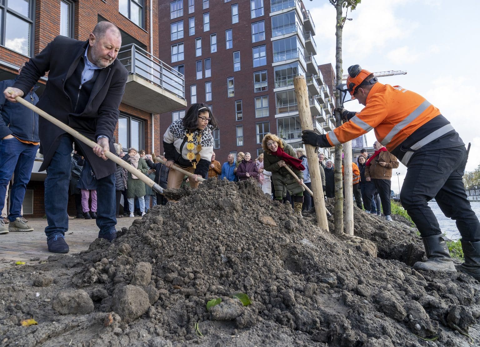 Alkmaarders krijgen boom als onderdeel bomenplan voor 5.000 extra bomen