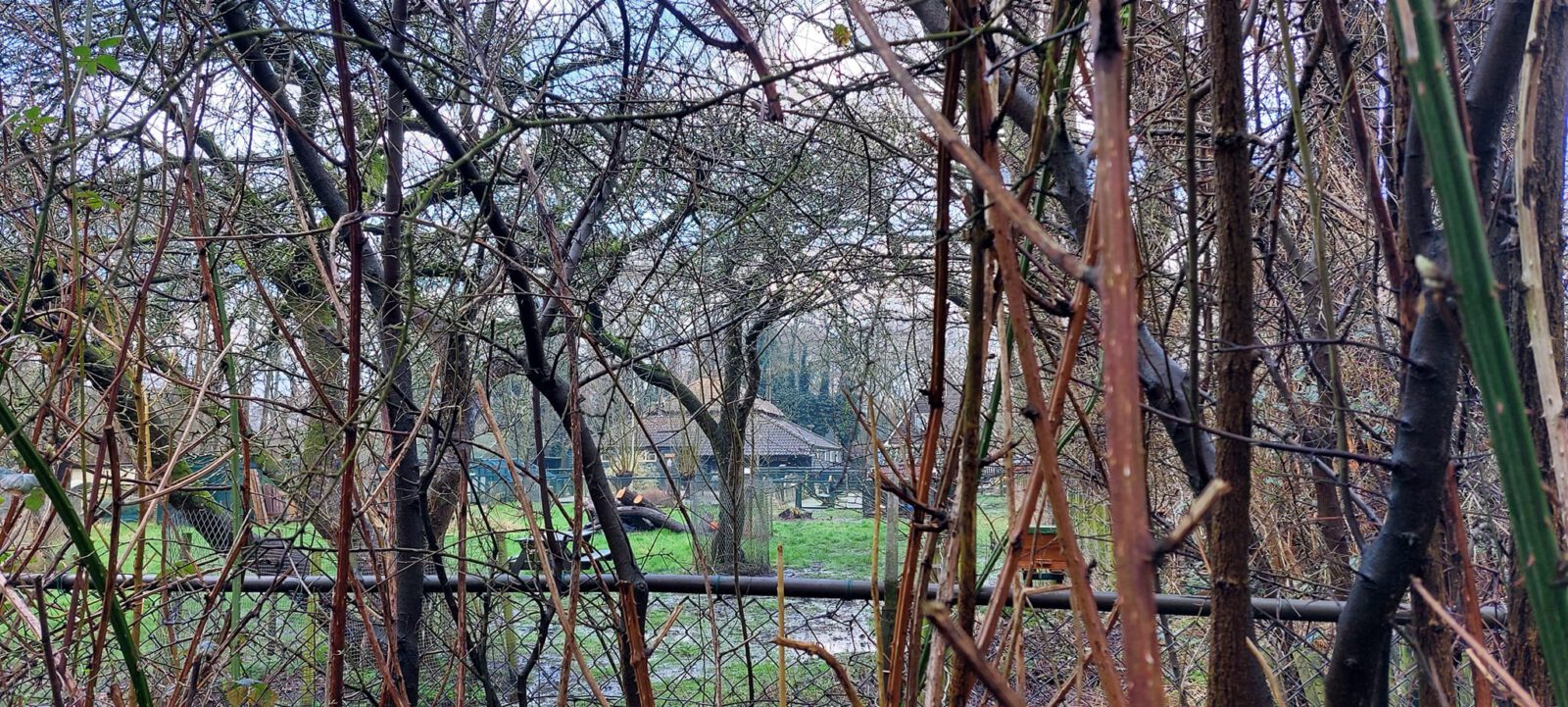 Elke vierde zondag van de maand: Natuurwandeling in de Rekerhout