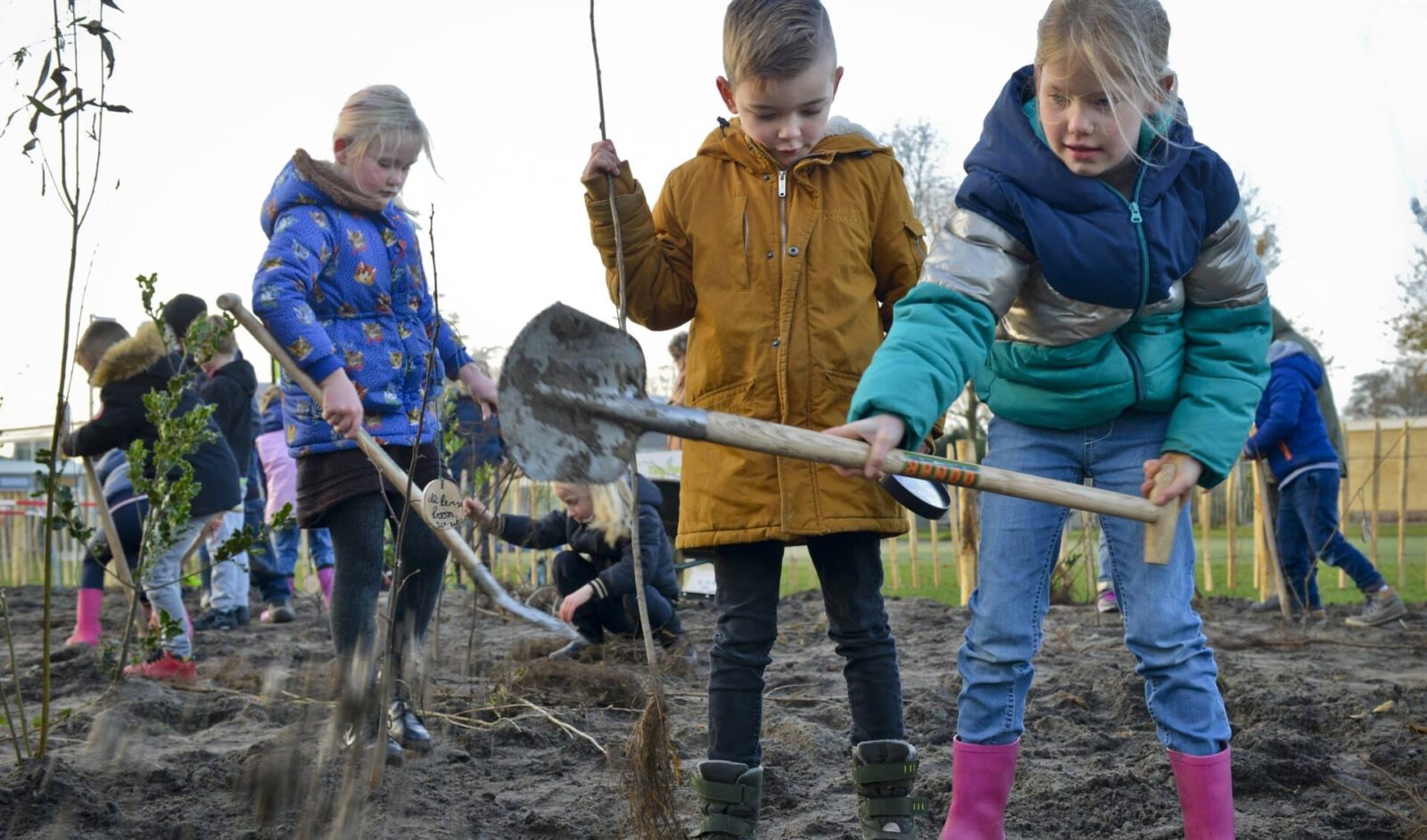 Leerlingen planten Tiny Forest in Vroonermeer Noord