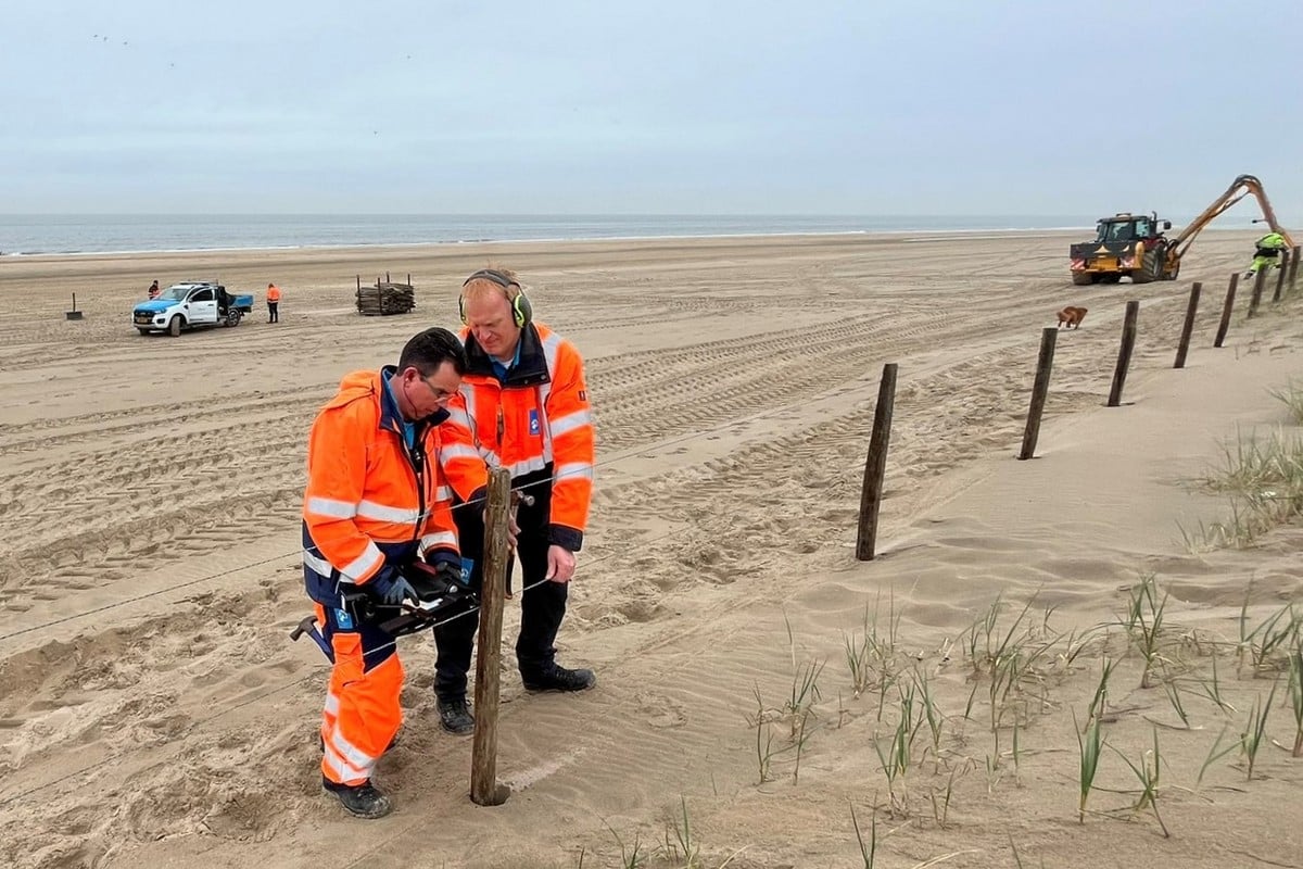 Nieuwe strandafrastering van Wijk aan Zee tot Den Helder