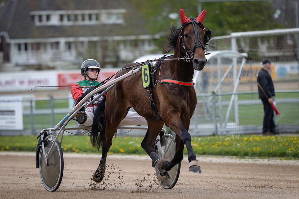 Zondag 21 april: De K.Dekker voorjaarsraces op de Alkmaarse Drafbaan