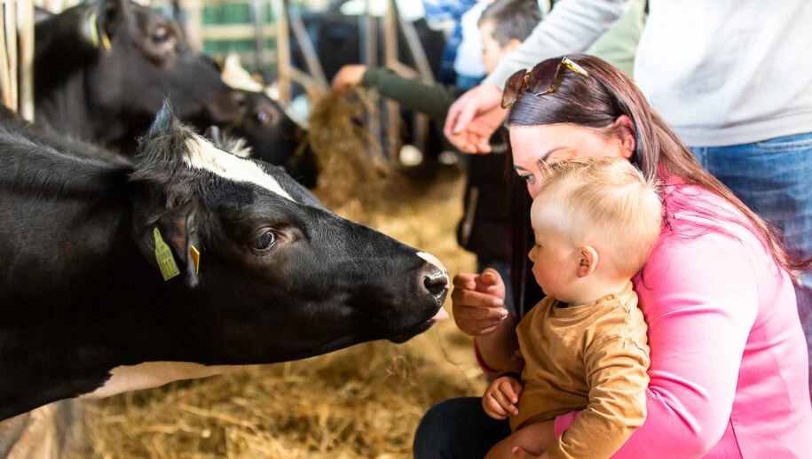 Open Boerderijdagen 2024: boeren in Noord-Holland laten zien hoe zij bijdragen aan een betere morgen