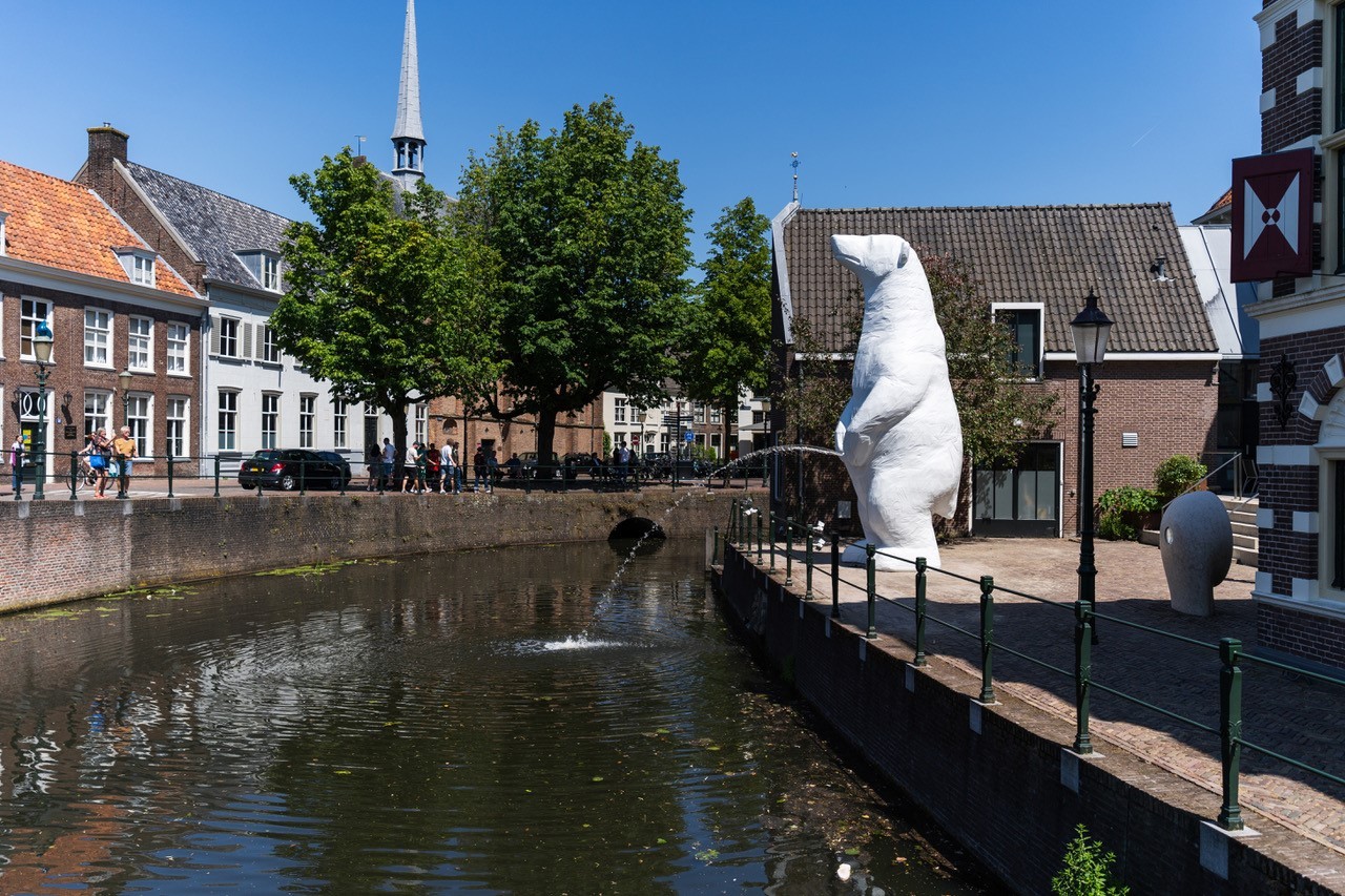 Unieke kans: Plassende ijsbeer naar Alkmaar