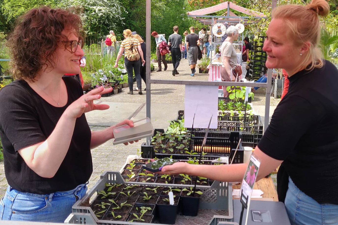 Inspirerende Zaaidag bij Hortus Alkmaar