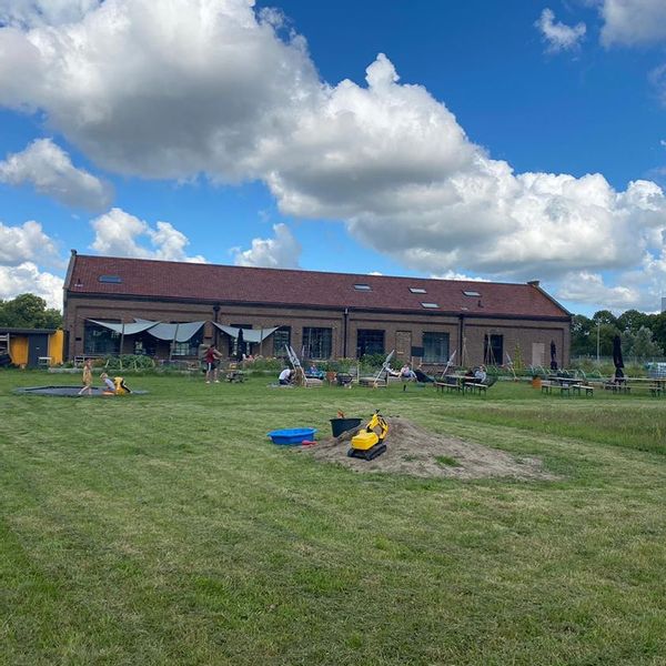 Broedende lepelaars verjagen Bevrijdingsfestival uit de Alkmaarderhout en verhuisd naar Gasfabriek Alkmaar