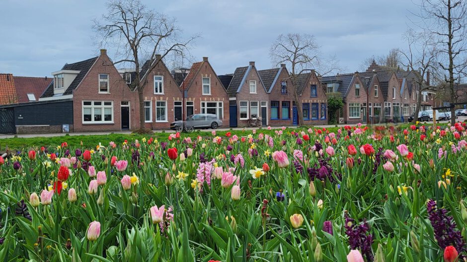 CDA wil meer kleur in Alkmaar