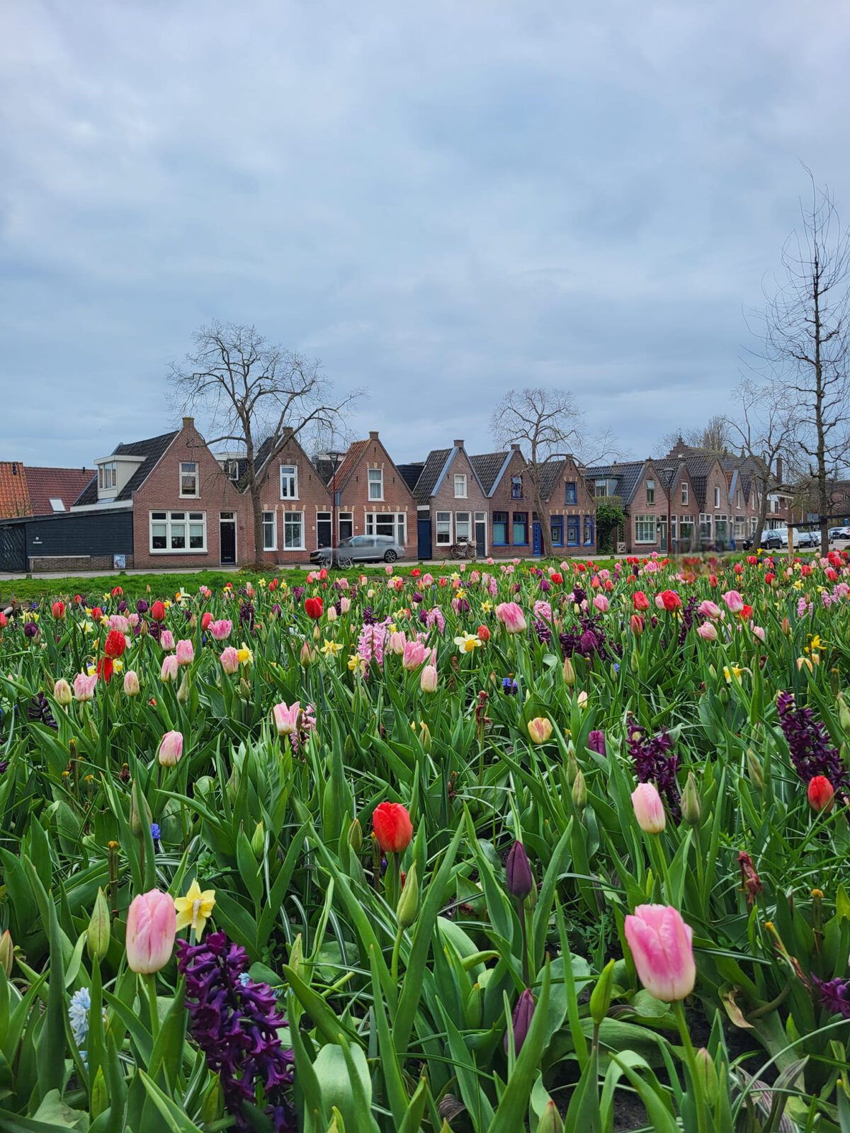 CDA wil meer kleur in Alkmaar