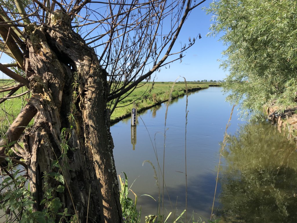 Lezing: Van Nieuwendam tot Alkmaardermeer