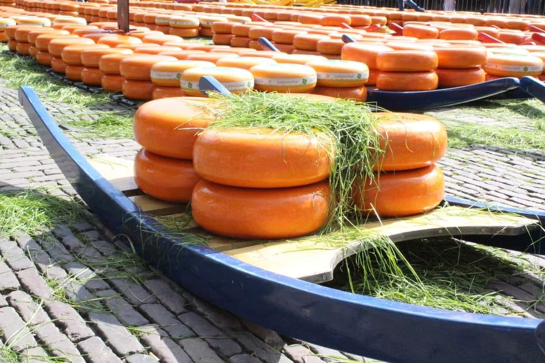 Marcus Husselman manager kaas en eieren van Plus supermarkten opent de kaasmarkt