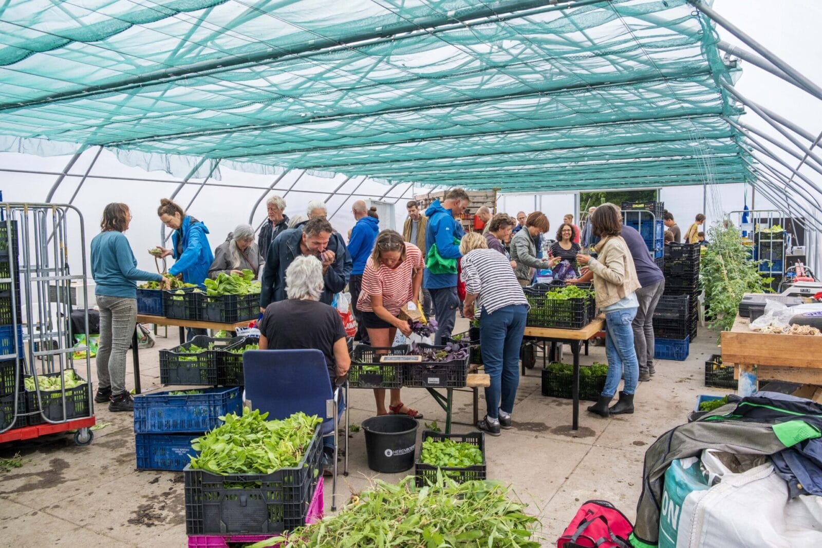 2 juni open dag Herenboeren Duinstreek