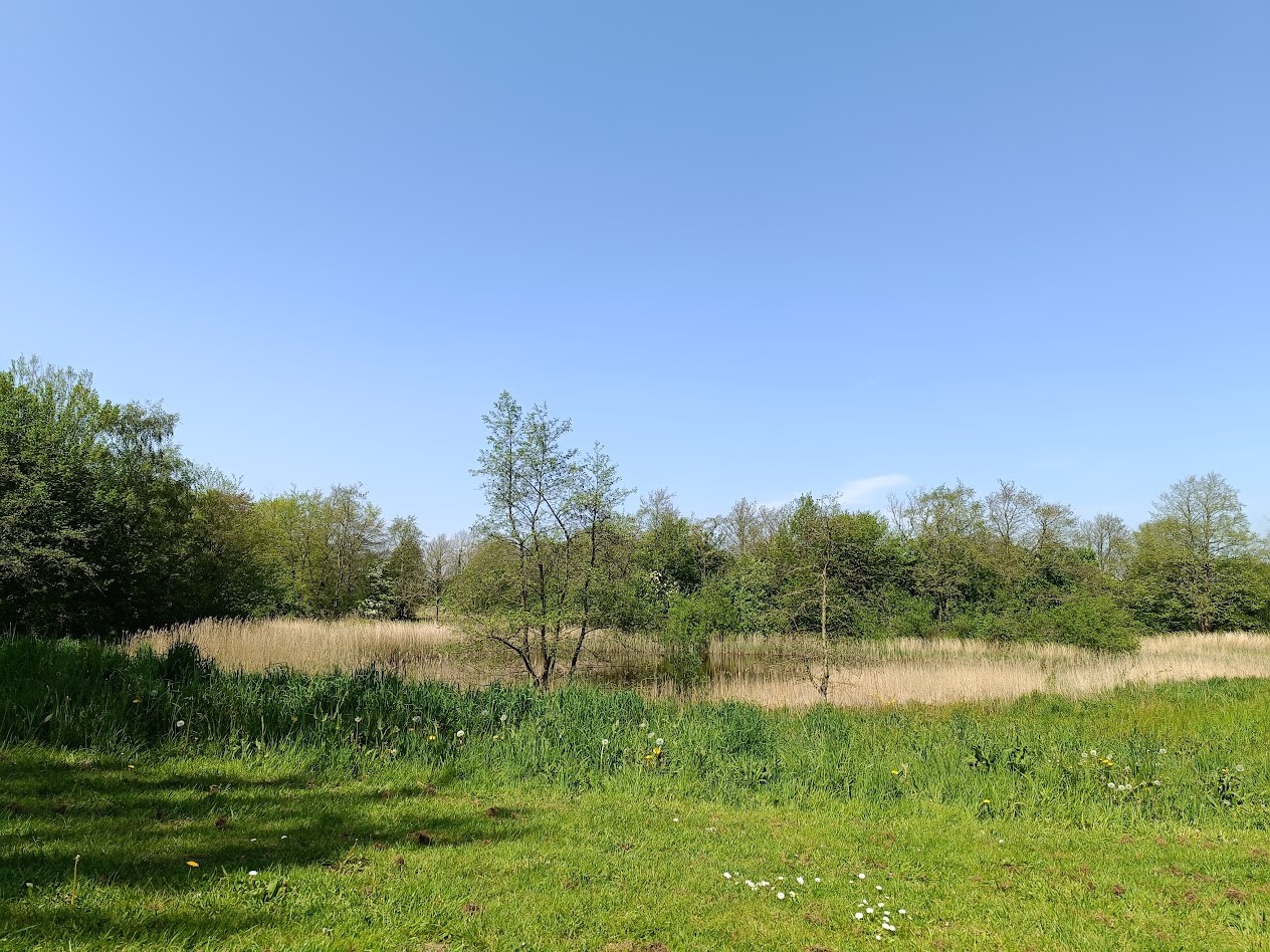 CBS: minder natuur en bos in Nederland, meer plekken bebouwd