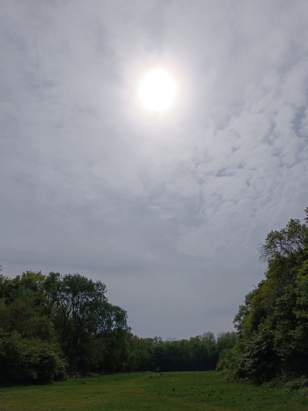 Het weer: warm met oplopende temperaturen