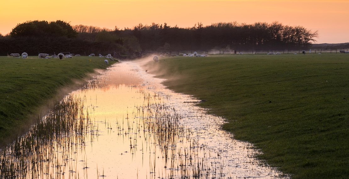 Natuurmonumenten en LandschappenNL reageren op coalitieakkoord