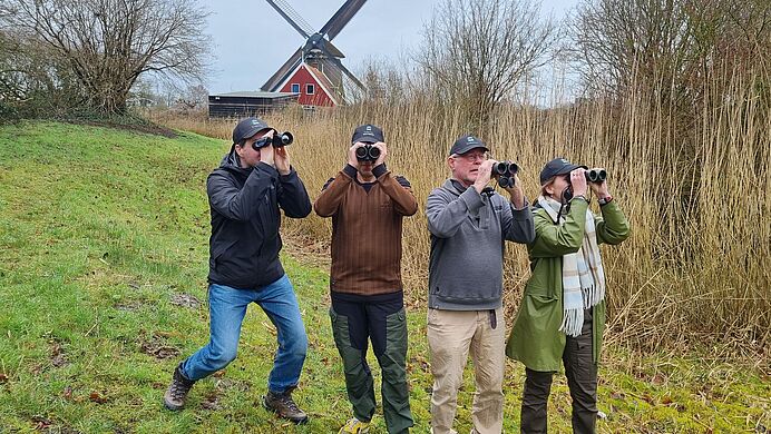 Het vleermuisseizoen in gemeente Dijk en Waard is geopend!