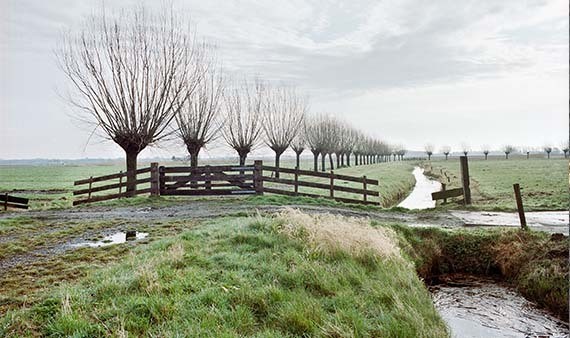 € 5 miljoen subsidie voor versterking netwerk landschapselementen