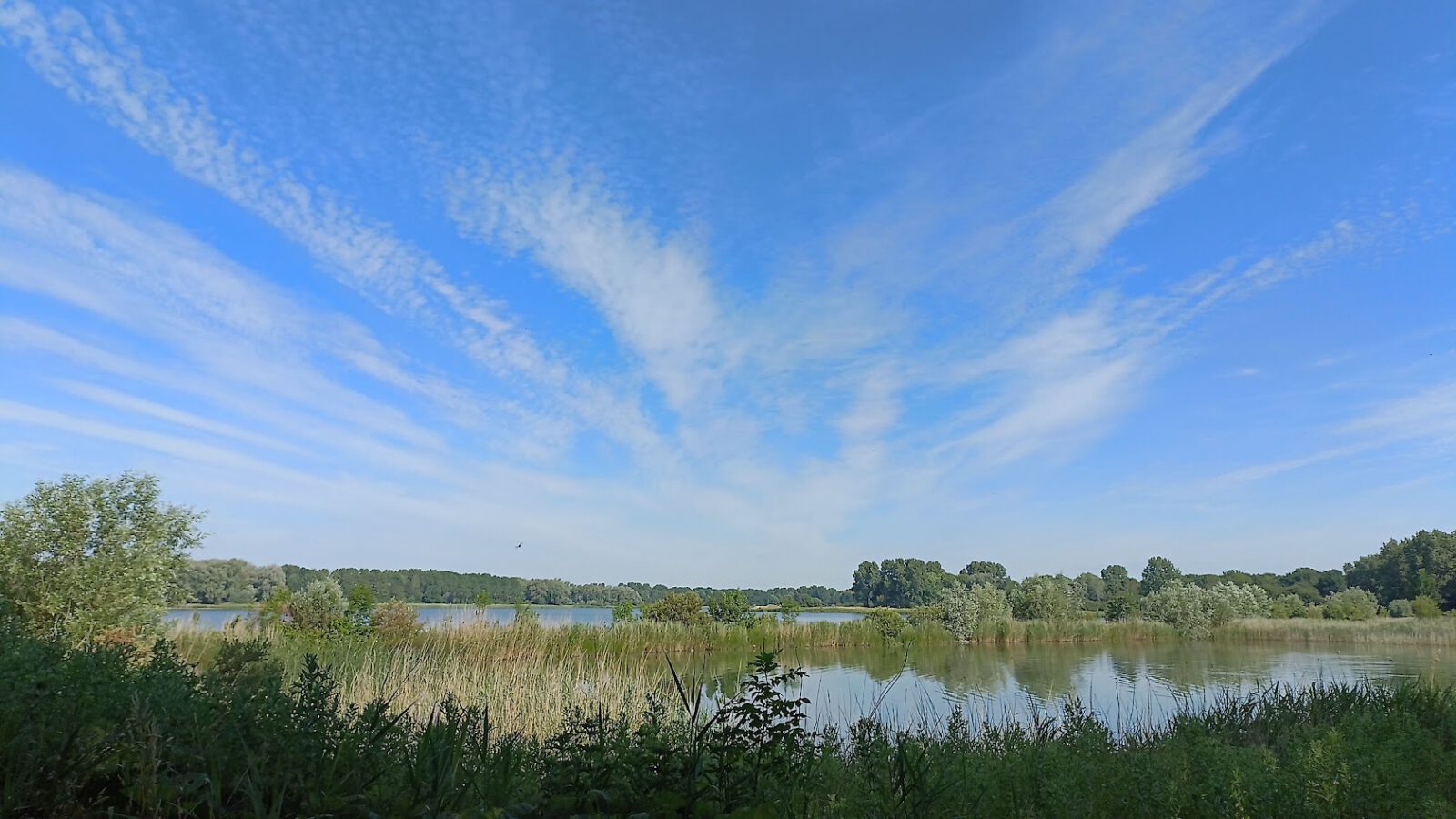 IVN Natuurwandeling door Geestmerambacht