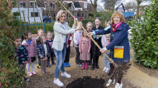 Gemeente Alkmaar geeft bomen weg voor een groenere toekomst