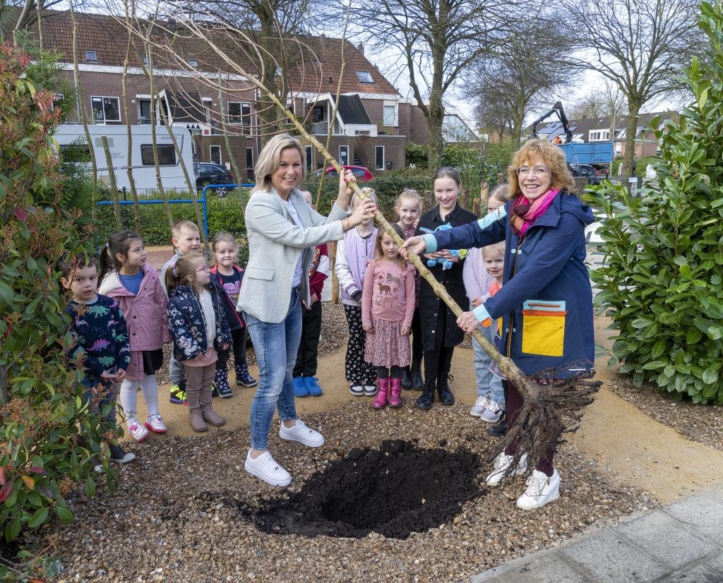 Gemeente Alkmaar geeft bomen weg voor een groenere toekomst