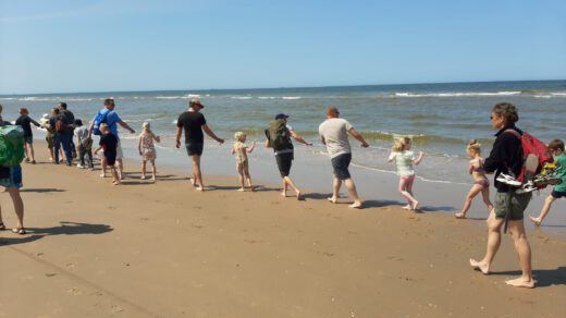 Ontdek wat er leeft in de zee