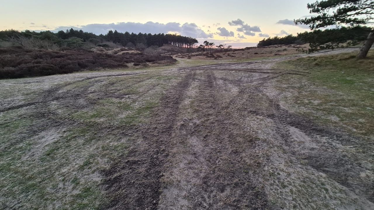 Politie zoekt naar vermist persoon in duinen van Bergen