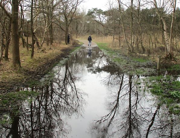 Fietsersbond: ‘PWN, doe iets aan de wateroverlast op de fietspaden’