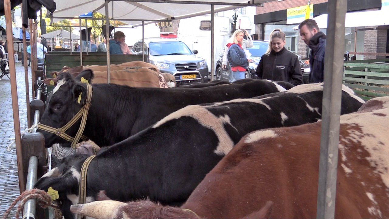 Landbouwdag in Alkmaar met paardententoonstelling en innovatie- en onderwijsplein