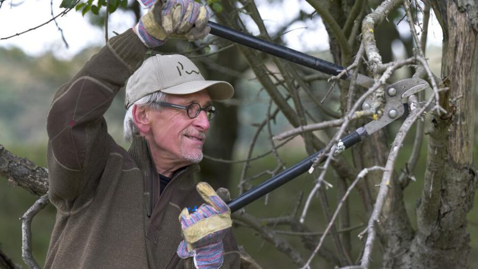 Duinwerkdagen: help de natuur een handje