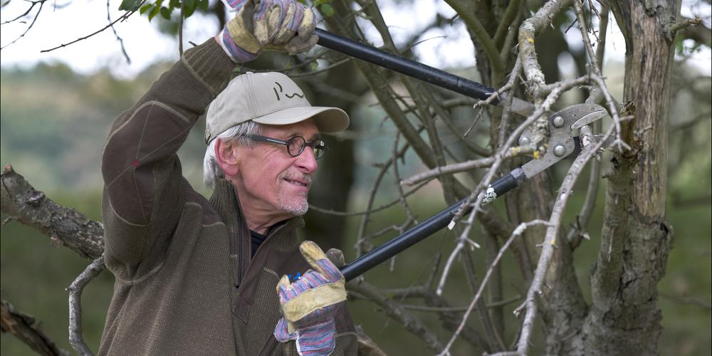 Duinwerkdagen: help de natuur een handje