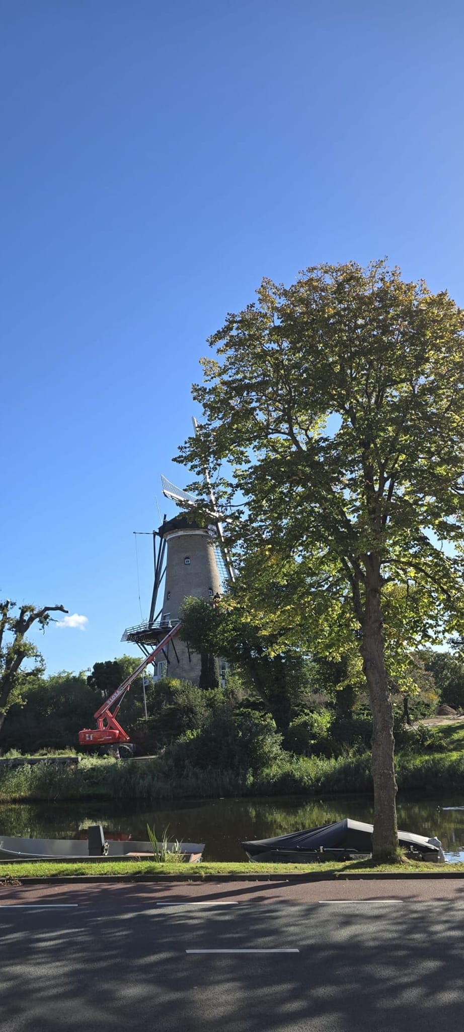 Boomkap en herinrichting omgeving Molen van Piet in Alkmaar