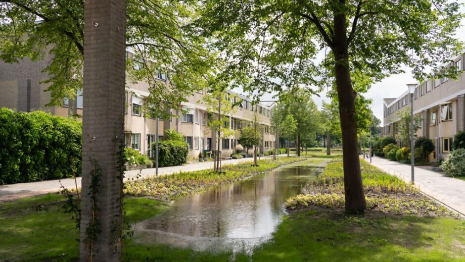 Alkmaar wint Green Cities Europe Award Nederland 2024