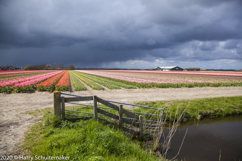 Jaarlijkse controle afvalwater bollentelers