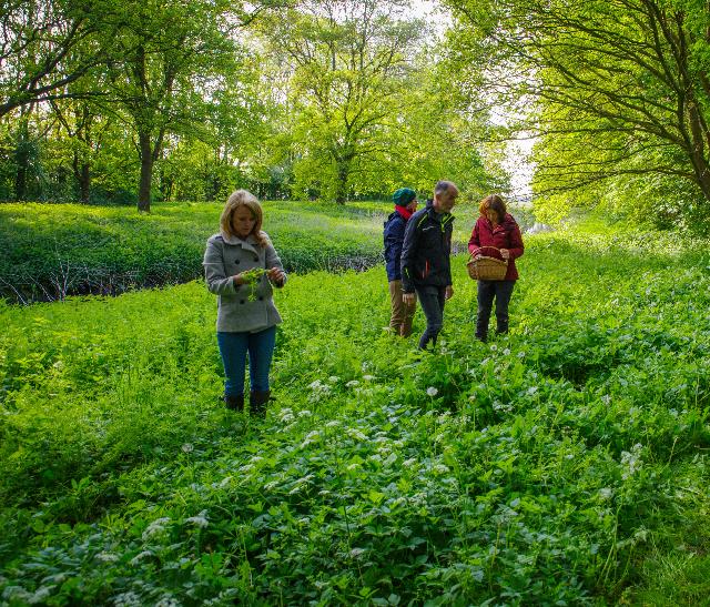 Duik drie maanden in de wereld van eetbare wilde planten