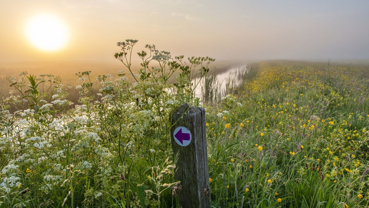 Noord-Hollandse Natuurdag