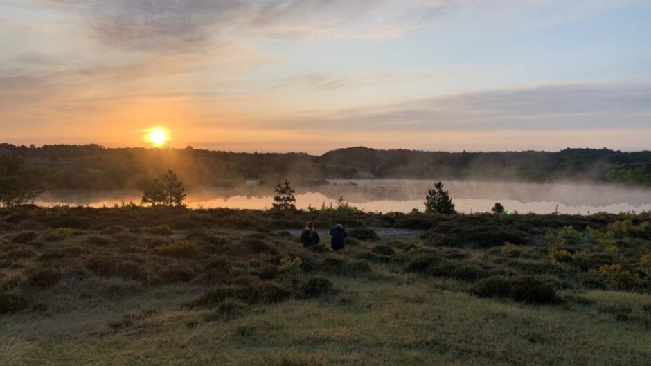 Paddenstoelenwandeling in de Schoorlse Duinen